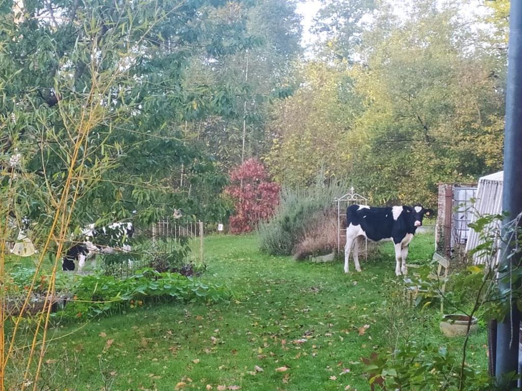 Pensjonat La Bruyere Du Coq Stables Sart-Dames-Avelines Zewnętrze zdjęcie